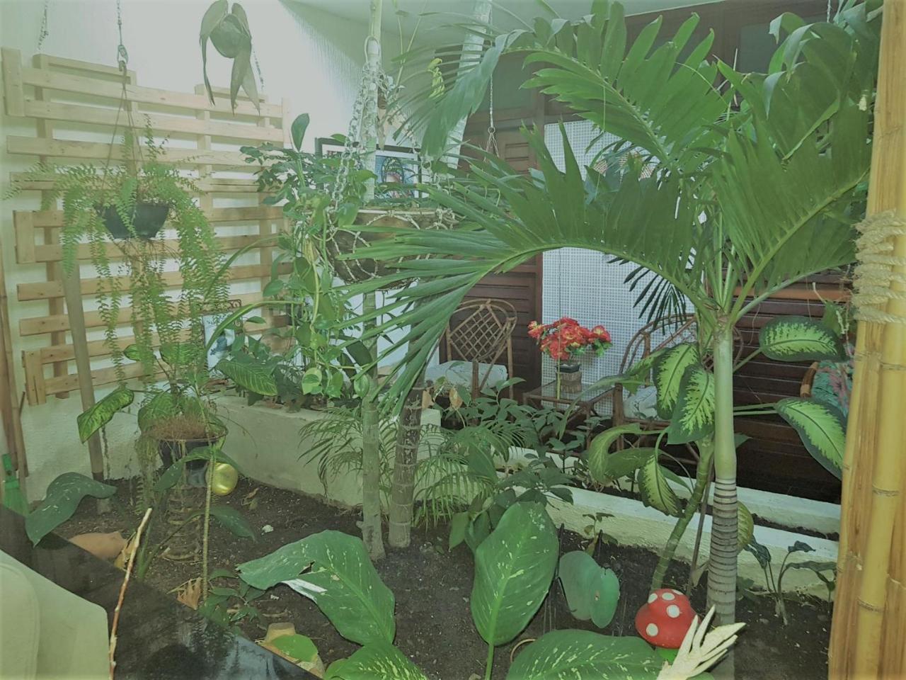 Pousada Terra Garrida Maceió Exterior foto